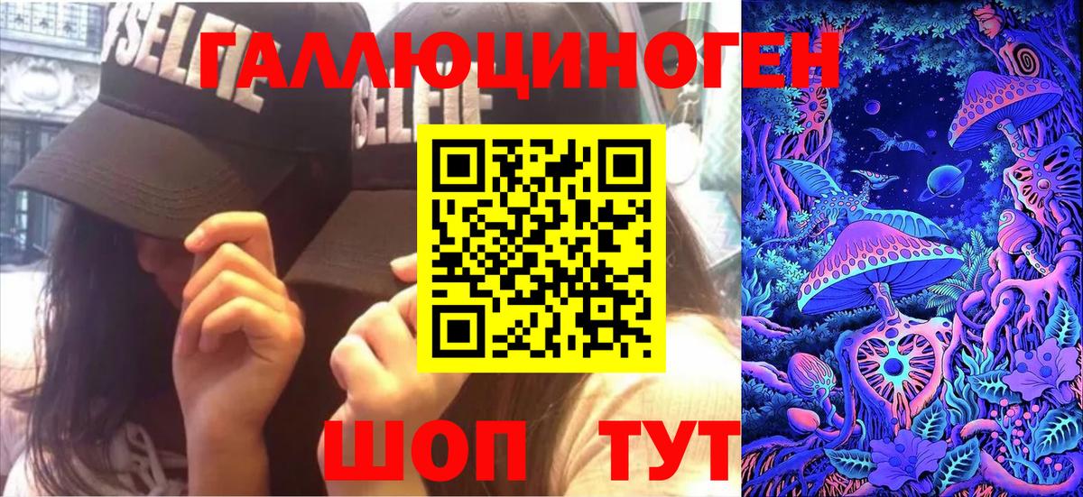 Галлюциногенные грибы Psilocybe Обнинск
