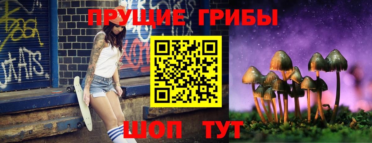 Псилоцибиновые грибы прущие грибы  Вход с VPN  Обнинск  Псилоцибиновые грибы Psilocybe 